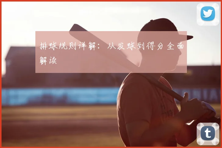 排球规则详解：从发球到得分全面解读