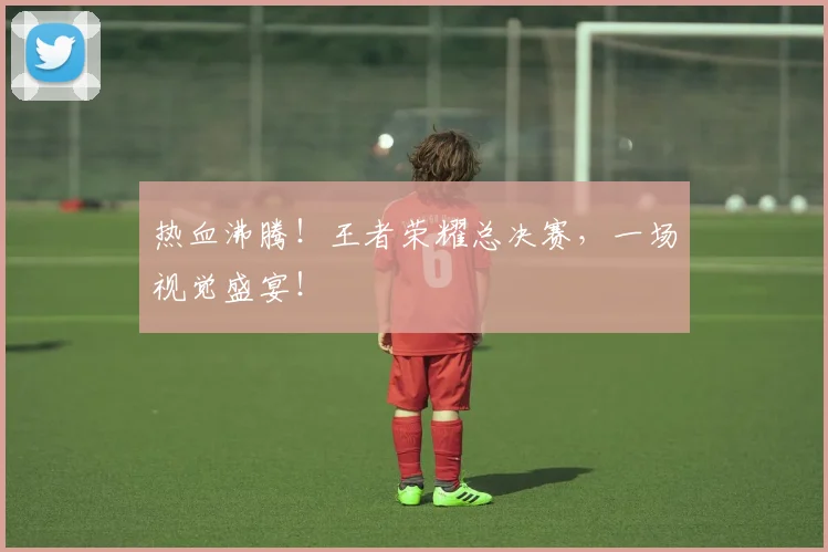 热血沸腾！王者荣耀总决赛，一场视觉盛宴！