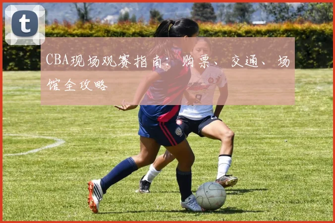 CBA现场观赛指南：购票、交通、场馆全攻略
