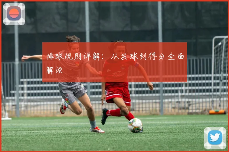 排球规则详解：从发球到得分全面解读